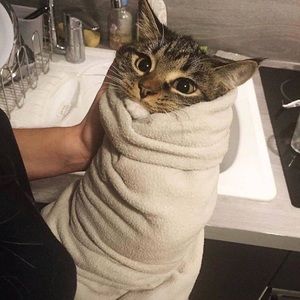 Meet your Posher, Alexandria